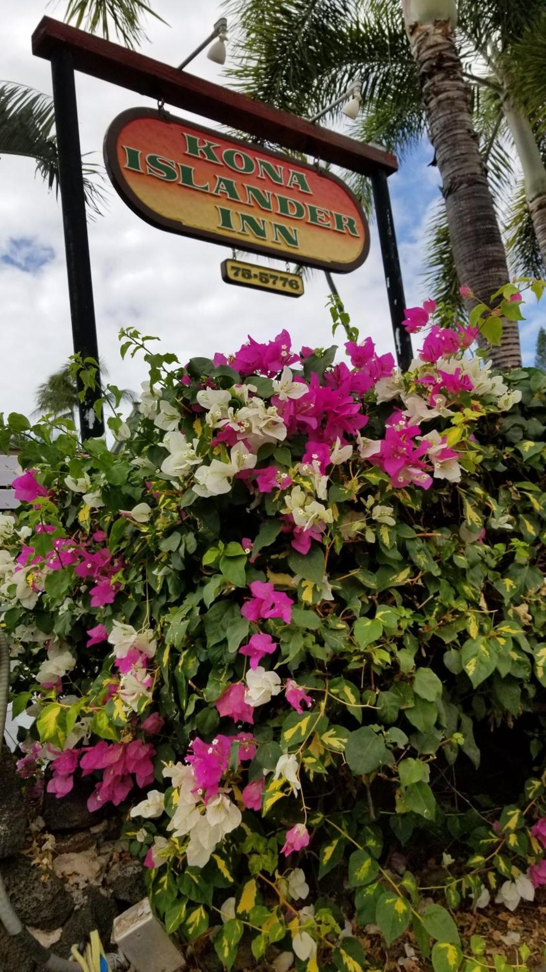 Downtown Hawaiian Theme Condo With Hot Tub, Pool & Beach - Kona Islander Inn Kailua-Kona Exterior foto